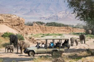 Top 9 Best Desert Safaris in the World