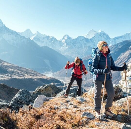 Trek in the Himalayas
